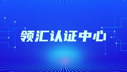 软件著作权保护与侵权分析