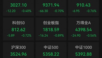 沪指跌0.4%，贵金属概念逆市上涨