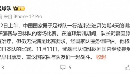 官方：武磊因伤退出本期国家队，将缺席与日本和巴林的世预赛