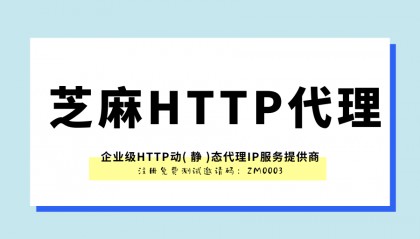 揭秘国内IP代理的安全性：如何保护个人信息安全？
