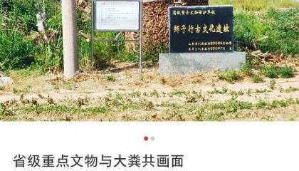 山东一省级重点文物遗址成庄稼堆放地引起质疑，当地回应