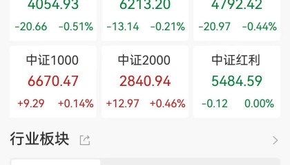 A股收评:三大指数继续调整,沪指跌0.37%,中药、光伏设备板块领涨!超3300股上涨,成交1.62万亿缩量3420亿