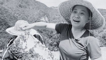 抗洪失联19天，被洪水冲走的怀柔村支书尹春燕遗体已找到