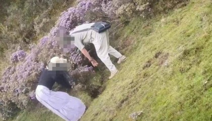 两游客在景区盗挖索玛花 警方：给予行政处罚，两人认识到错误并作郑重道歉