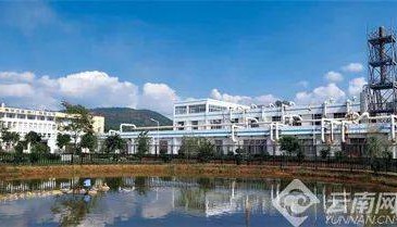 “四链”融合涵养新质生产力 云南贵金属集团聚势跃迁