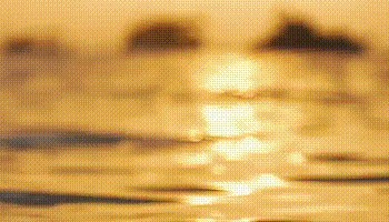 特朗普支持TikTok继续运营，最多可以延期三个月？