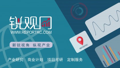 2024-2030年中国贵金属化合物，相关基础化学品行业深度调研及发展预测报告