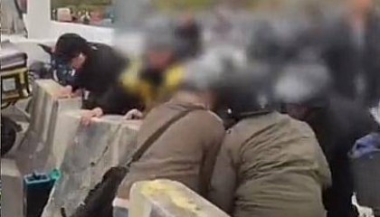 广州“电鸡”车主被曝推开石墩逃避查车，视频热传！多方回应