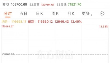 飙升近13000点！巴基斯坦股市大涨至熔断