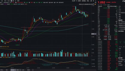 贵金属、银行等防御板块走强，沪深300价值ETF（562320）早盘飘红，机构：龙头优势或仍将延续丨ETF观察