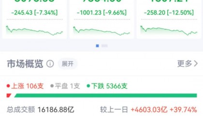 三大指数收跌，中央汇金出手！