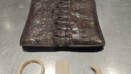 大兴机场海关查获4件象牙及鳄鱼皮制品