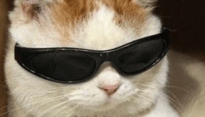 “不亚于春节回家”！凌晨5点，深圳有人已经堵在路上……