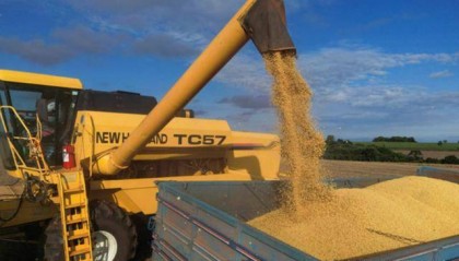 中国这边狂进货，美国人彻底蒙圈，今年剩下的仨月，要喝西北风了