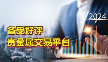 贵金属投资者的选择，2024十大好评交易平台盘点