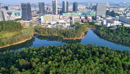 精耕17年，德宇鑫科技成为流体控制解决方案领跑者