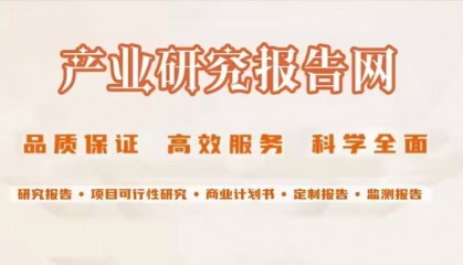 2024-2030年中国个人代理保险行业前景研究与市场运营趋势报告