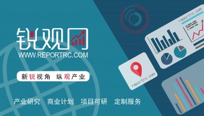 2025-2029年中国稀贵金属行业投资规划及前景预测报告