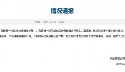 官方通报村民20亩麦苗被铲除，说是土地污染得拿出证据