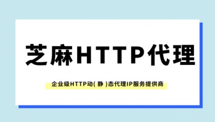 HTTPS代理有效保护个人隐私和数据安全