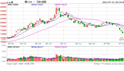 光大期货：7月24日有色金属日报