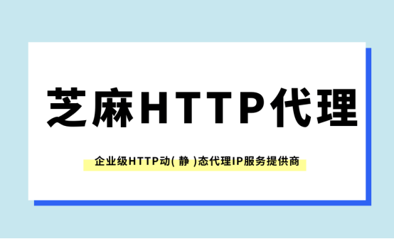 HTTPS代理有效保护个人隐私和数据安全