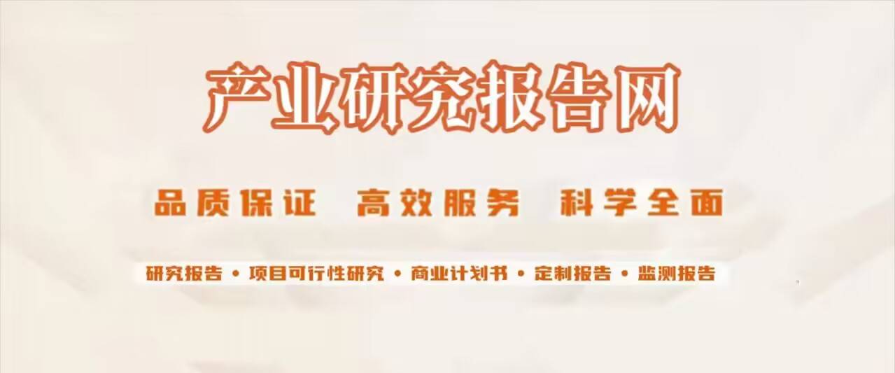 2024-2030年中国个人代理保险行业前景研究与市场运营趋势报告