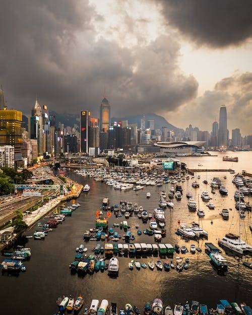 股票期权用什么交易平台？有哪些期权软件可以使用？