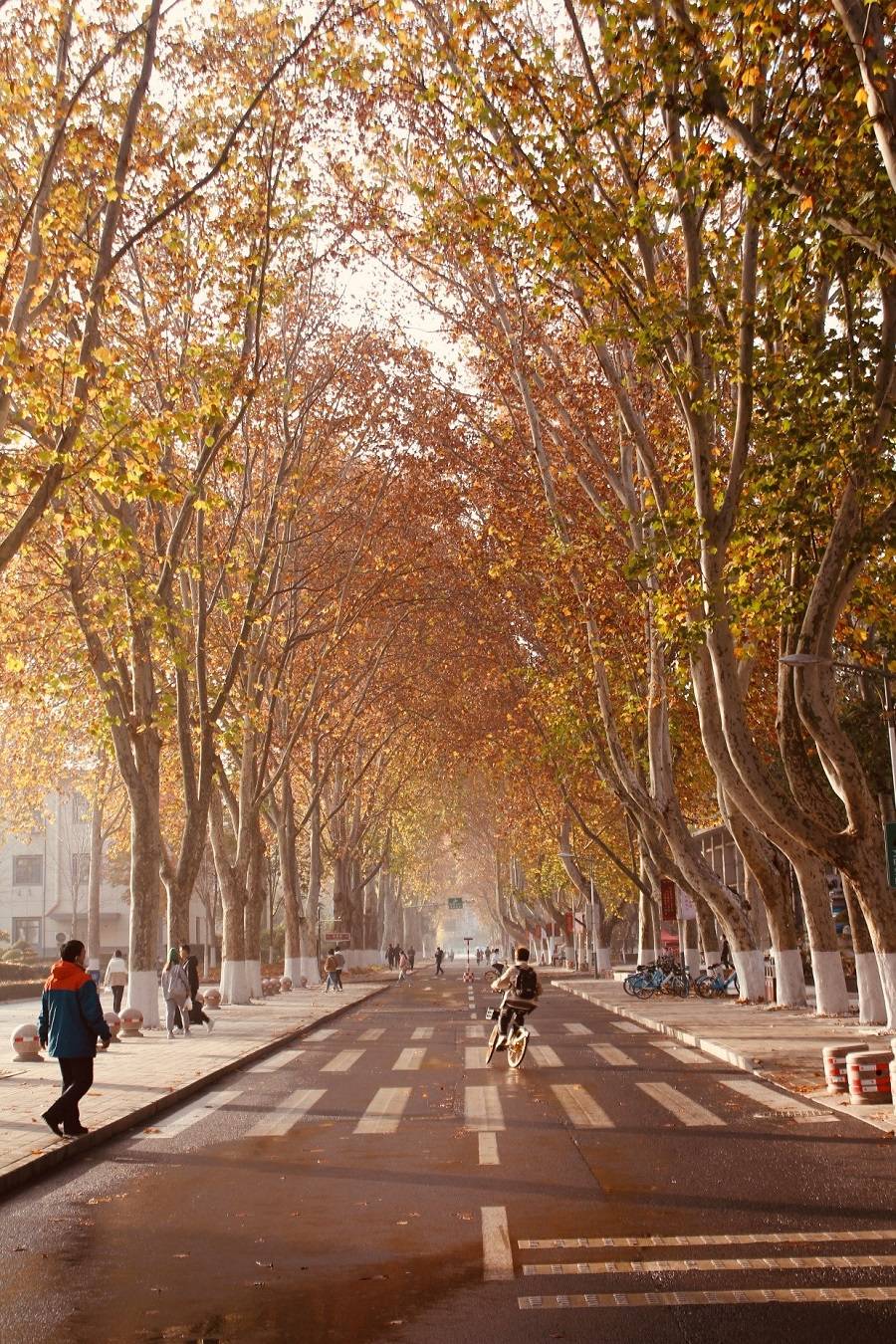 农村专科生逆袭985博士 35岁卡点找到工作