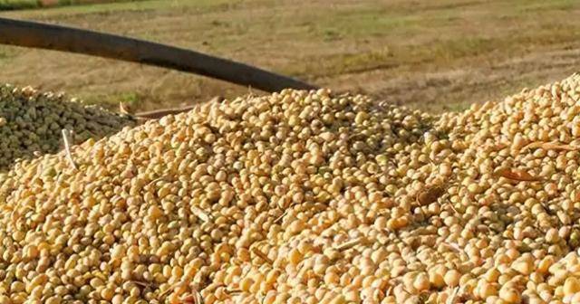 沙利文：美国的全球品牌被冲进马桶